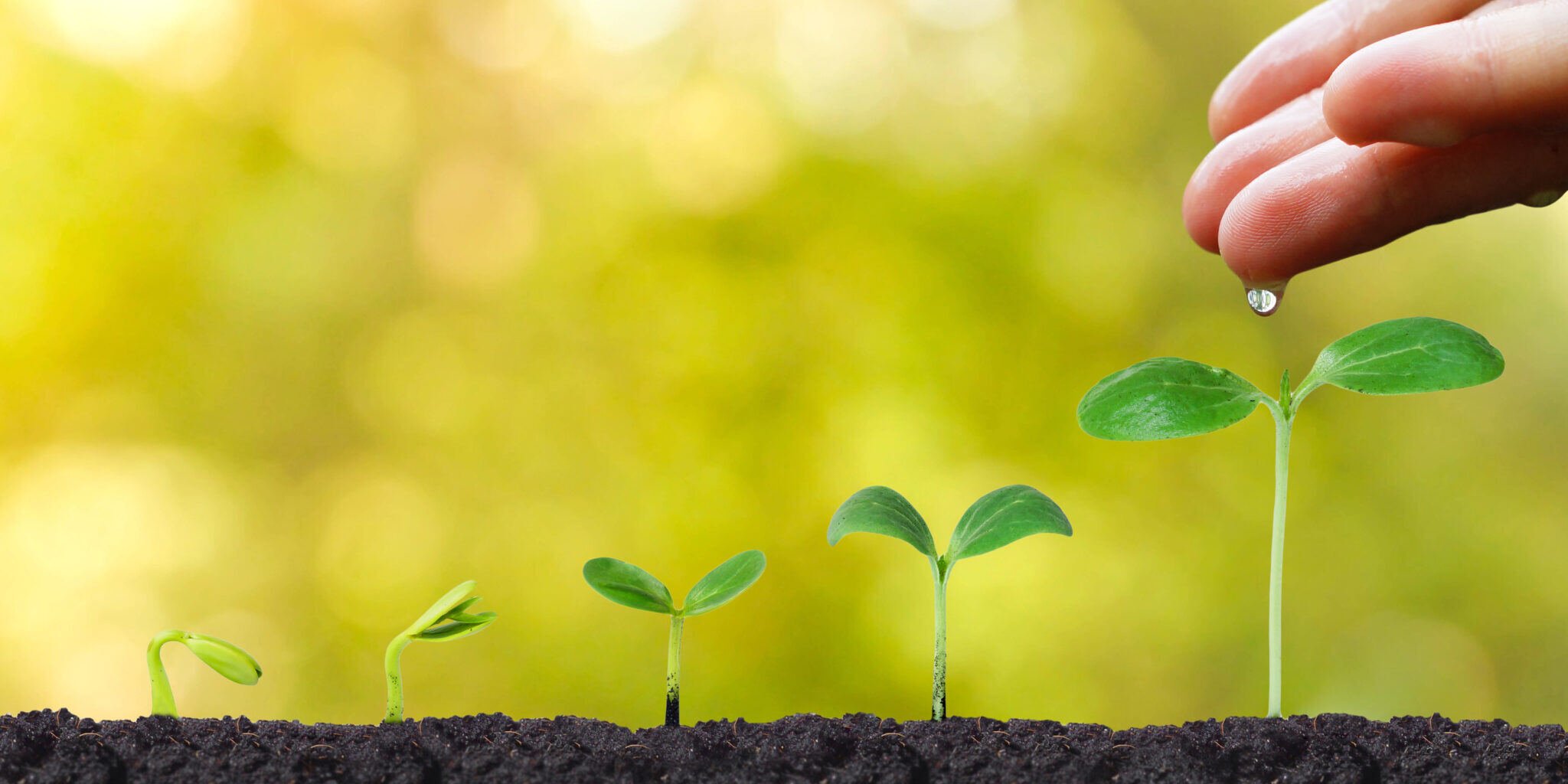 Nurturing_Passive_Talent-_Why_is_It_So_Important